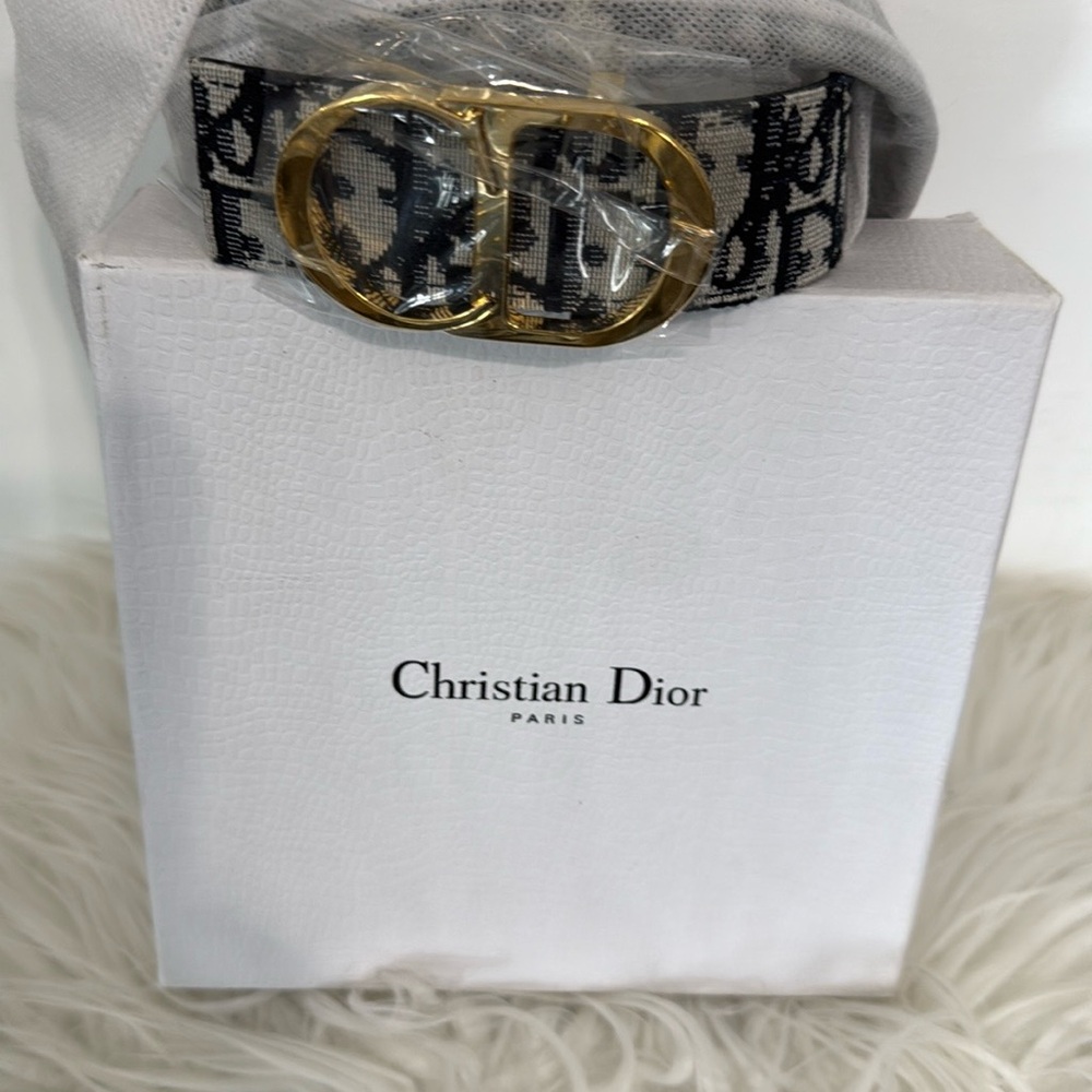 Black and Gold Belt